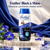 Тайский шампунь для блеска тёмных волос с анчаном Feather Black & Shine 