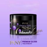Восстанавливающая маска PANY Premium Gloss Treatment Spa 