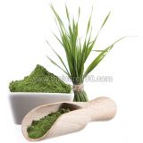 Порошок из ростков пшеницы Wheat Grass Powder