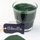 Порошок хлореллы Chlorella Powder