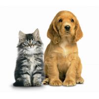 Корм для животных Корм для животных