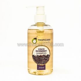 Кокосовый шампунь для волос с черным рисом Tropicana Coco Riceberry Shampoo